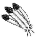 Native Life